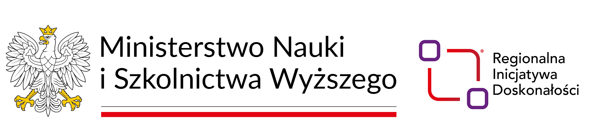Logo Ministerstwa Nauki i Szkolnictwa Wyższego oraz logo Regionalnej Inicjatywy Doskonałości